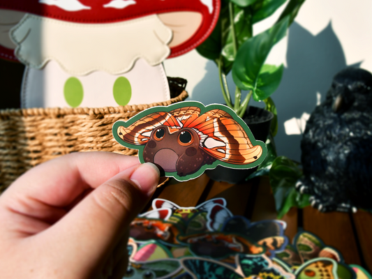 Frog Fairy Sticker | Mahogany Frog ◦ Atlas Moth