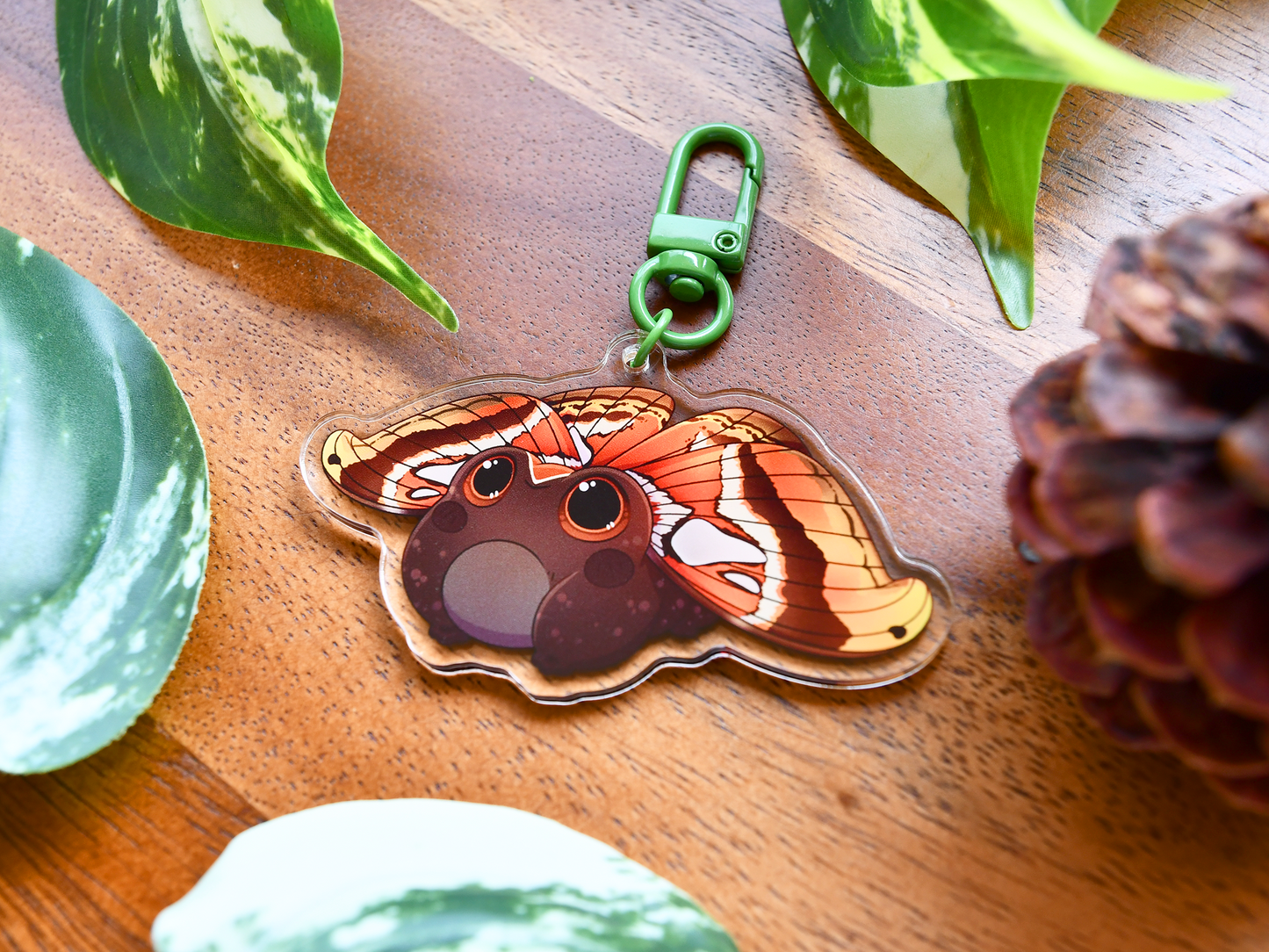 Frog Fairy Acrylic Charm | Mahogany Frog ◦ Atlas Moth