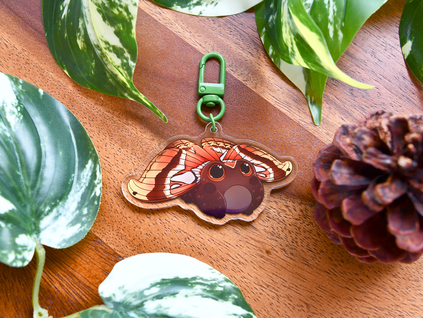 Frog Fairy Acrylic Charm | Mahogany Frog ◦ Atlas Moth