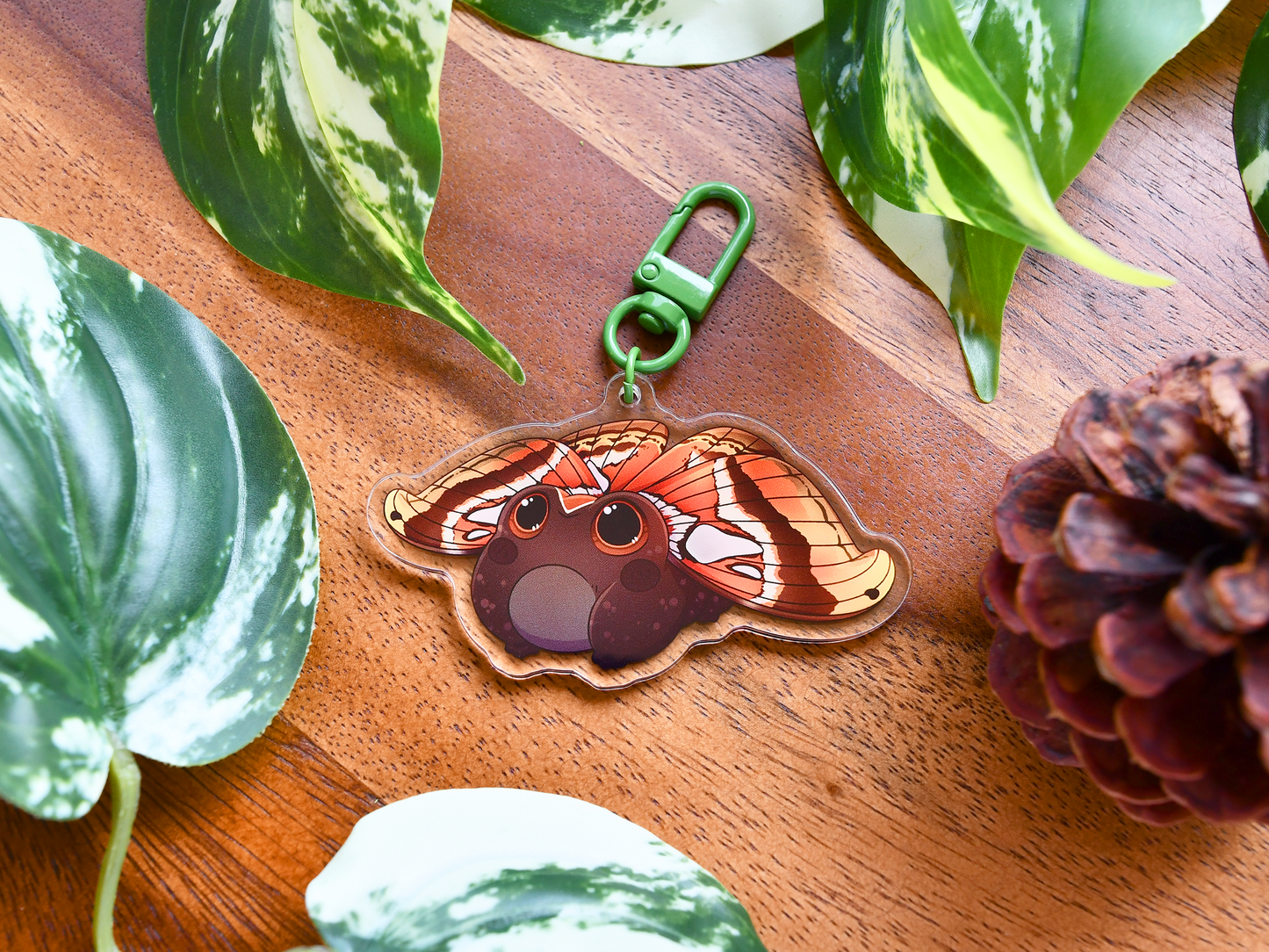 Frog Fairy Acrylic Charm | Mahogany Frog ◦ Atlas Moth