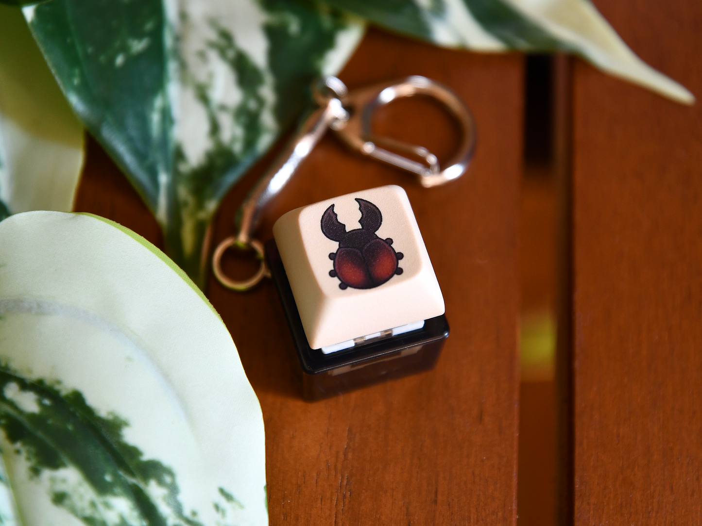 Clicky Keycap Keyboard Fidget Keychain ◦ Kawaii Frog Keychain ◦ Cute Mushroom Keychain ◦ Cute Beetle Insect Keychain