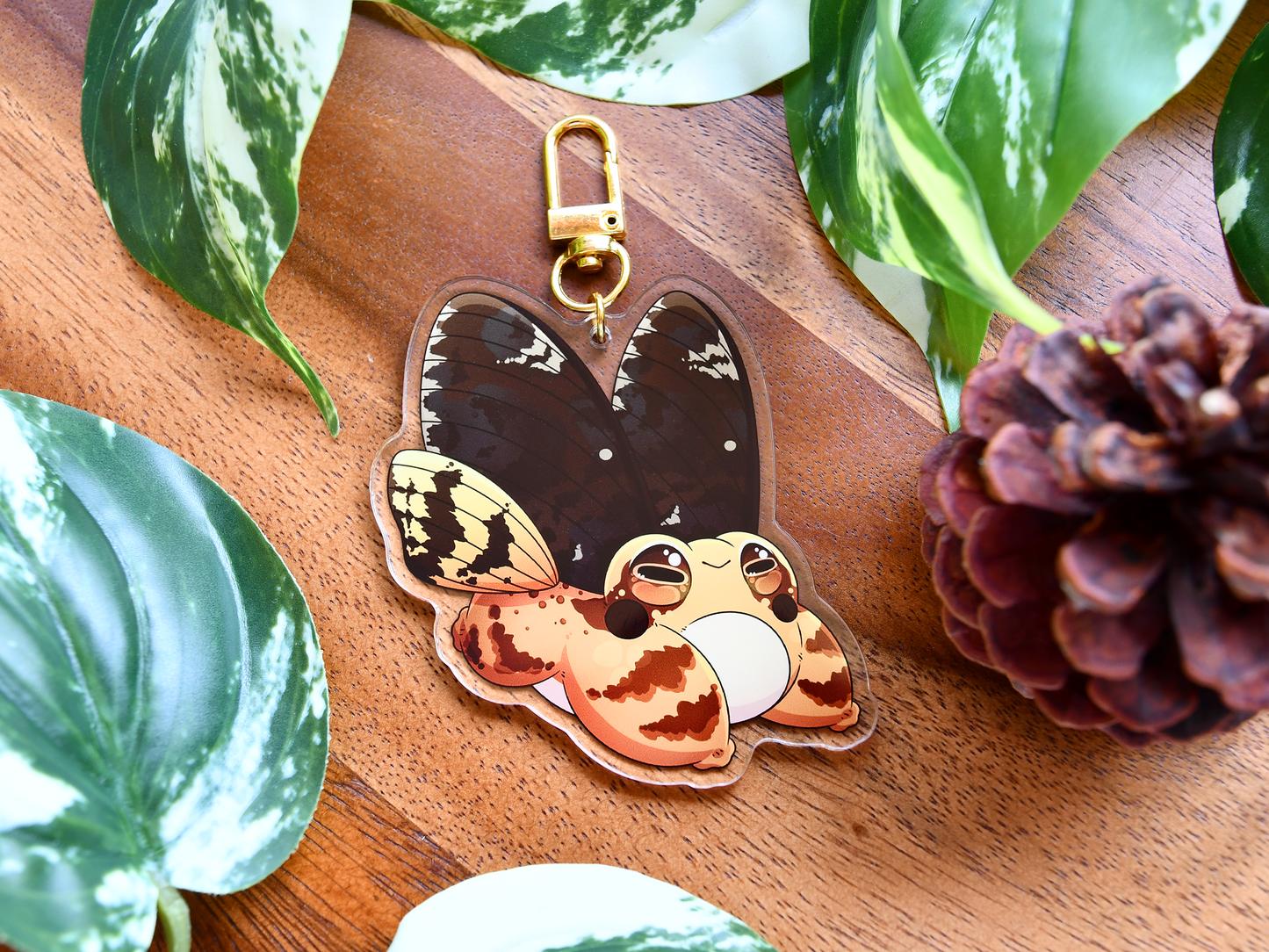 Frog Fairy Acrylic Charm | European Common Frog ◦ Death's-Head Hawkmoth