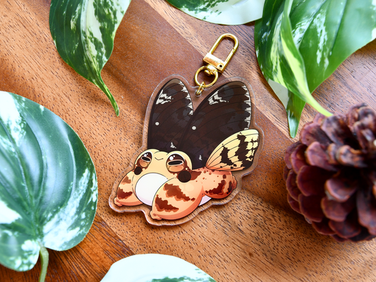 Frog Fairy Acrylic Charm | European Common Frog ◦ Death's-Head Hawkmoth