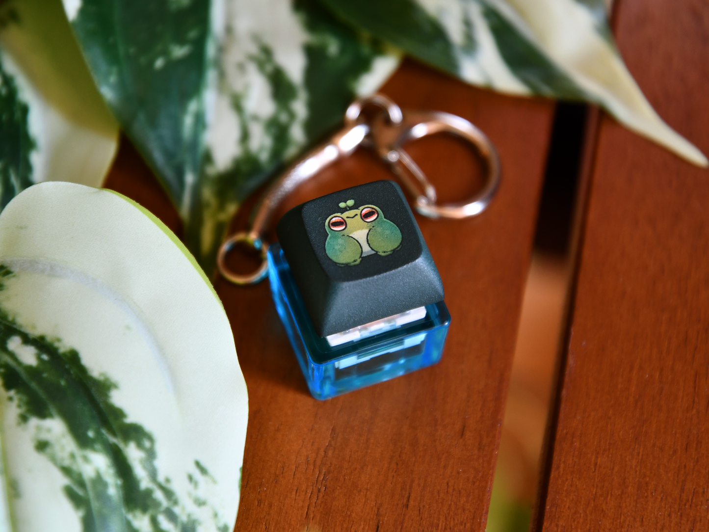 Clicky Keycap Keyboard Fidget Keychain ◦ Kawaii Frog Keychain ◦ Cute Mushroom Keychain ◦ Cute Beetle Insect Keychain