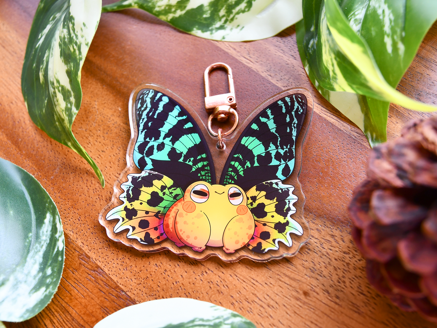 Frog Fairy Acrylic Charm | Boophis Frog ◦ Madagascan Sunset Moth